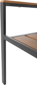 ΠΟΛΥΘΡΟΝΑ ΑΛΟΥΜΙΝΙΟΥ SAGA HM5981.03 ΑΝΘΡΑΚΙ-POLYWOOD ΣΕ ΦΥΣΙΚΟ 55x55x86Υεκ.