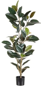Διακοσμητικό Φυτό PVC Σίδερο Ficus 49 x 45 x 125 cm
