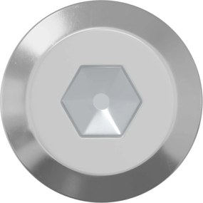 vidaXL Βίδα 2 pcs Ασημί M6 x 100 χιλ. Ατσάλι