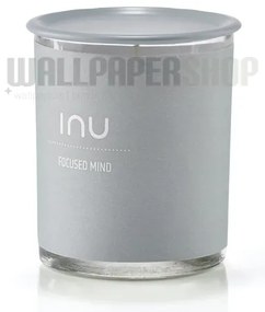 INU ΑΡΩΜΑΤΙΚΟ ΚΕΡΙ FOCUSED MIND