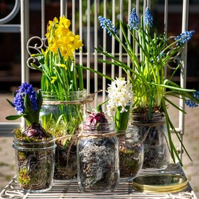 Βάζο Τροφίμων 250 4stagioni - Bormioli