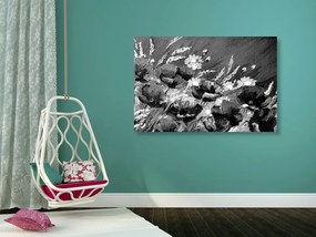 Εικόνα ζωγραφισμένες παπαρούνες αγρού σε ασπρόμαυρο - 90x60