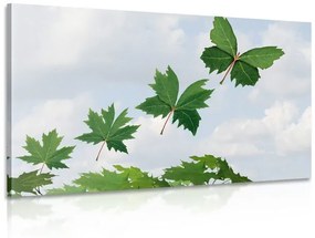 Φύλλα εικόνας στον άνεμο - 90x60