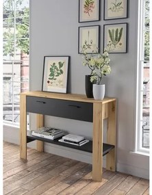 Epiplo World Κονσόλα με 1 συρτάρι και 1 ράφι Trust 102x36x91εκ. Helvezia Oak / Black BEST-1532485