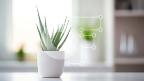Intra Συλλεκτικό Ξύλινο Παζλ Plywood  4mm - Φυτό Aloe Vera σε Λευκή γλάστρα Σε Ξύλινο Κουτί - Διαστάσεις: 10x10 cm – 25 κομμάτια