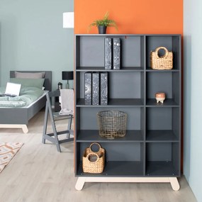 Βιβλιοθήκη Jara plus