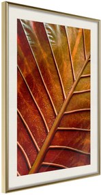 Αφίσα - Bronze Leaf - 20x30 - Χρυσό - Με πασπαρτού