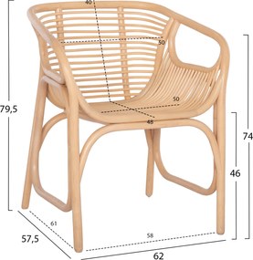 ΠΟΛΥΘΡΟΝΑ MEL ΕΣΩΤ. ΧΩΡΩΝ HM9954.01 ΦΥΣΙΚΟ RATTAN 62x57,5x79,5Υεκ.