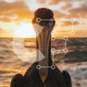 Intra Συλλεκτικό Ξύλινο Παζλ Plywood  4mm - Πελεκάνος στο ηλιοβασίλεμα δίπλα στον ωκεανό Σε Ξύλινο Κουτί - Διαστάσεις: 10x10 cm – 25 κομμάτια