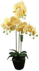 Supergreens Τεχνητό Φυτό Ορχιδέα Phalaenopsis Κίτρινο 80 εκ. - 8301-6