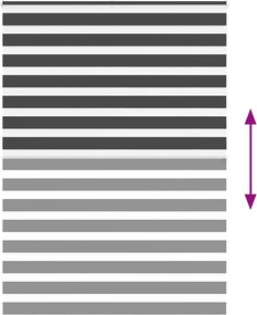 vidaXL Ζέβρα τυφλή Μαύρο Πλάτος υφάσματος 155,9 εκ. Πολυεστέρας