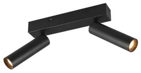 Φωτιστικό Οροφής - Σποτ Ambala 849210232 26x13x17cm 2xSMD 5,5W 500lm Black Trio Lighting