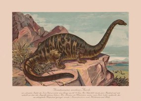 Εικονογράφηση Brontosaurus excelsus, Late Jurassic epoch, chromolithograph,, ZU_09