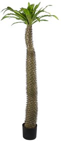 GloboStar® Artificial Garden PACHYPODIUM LAMEREI PALM TREE 20130 Τεχνητό Διακοσμητικό Φυτό Φοίνικας της Μαγαδασκάρης Υ175cm