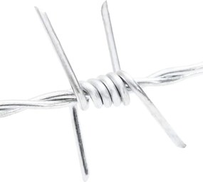 vidaXL Αγκαθωτό Σύρμα Ασημί 100 m