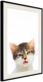 Αφίσα - Funny Kitten - 40x60 - Μαύρο - Με πασπαρτού