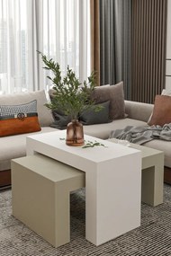 Stewehome Σετ 2 μοντέρνα τραπεζάκια σαλονιού από σαντουλάμ 50x90 cm