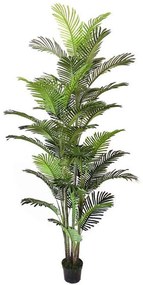 Τεχνητό Δέντρο Αρέκα 3970-6 230cm Green Supergreens Πολυαιθυλένιο
