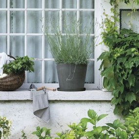 Πιάτο για τη Γλάστρα Deroma