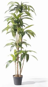 Supergreens Τεχνητό Δέντρο Δράκαινα Πράσινο 170 εκ
