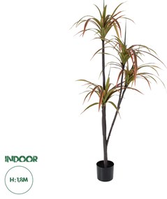 GloboStar® Artificial Garden DRAGON BLOOD TREE 20372 Τεχνητό Διακοσμητικό Φυτό Δράκαινα Υ180cm