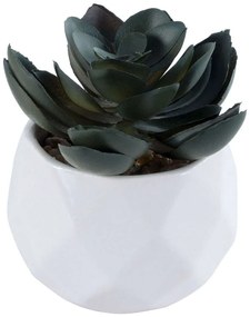 Τεχνητό Φυτό Σε Κασπώ Echeveria 20990 Φ7x8,5cm Green-White GloboStar Πηλός,Πολυαιθυλένιο