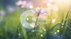 Intra Συλλεκτικό Ξύλινο Παζλ Plywood  4mm - Ροζ λουλούδι την άνοιξη με σταγονίδια δροσιάς Σε Ξύλινο Κουτί - Διαστάσεις: 10x10 cm – 25 κομμάτια