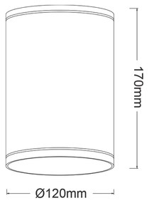 E27 PAR30  ROUND CEILING LUMINAIRE 230V AC MATT WHITE IP65 MAX.35W - LG2302E27W