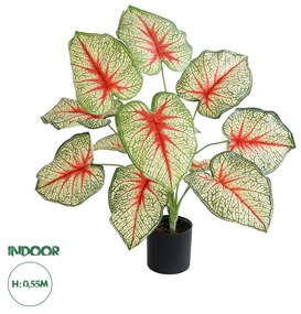 GloboStar® Artificial Garden CALADIUM 20932 Διακοσμητικό Φυτό Καλάντιουμ Υ55cm