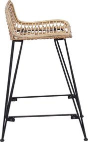 vidaXL Μπαρ σκαμπό 2 pcs Φυσικό 44 x 45 x 76 εκ. Ράτταν και Χάλυβας