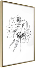 Αφίσα - Sketch of Lillies - 20x30 - Χρυσό - Χωρίς πασπαρτού