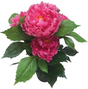 Τεχνητό Φυτό Παιώνια Σε Κασπώ 04-00-24187-2 45cm Multi-Fuchsia Marhome Plastic