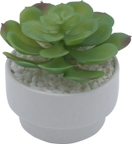 Τεχνητό Φυτό σε Κεραμικό Γλαστράκι 8x14cm