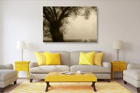 Εικόνα ενός τεράστιου δέντρου σέπια - 120x80