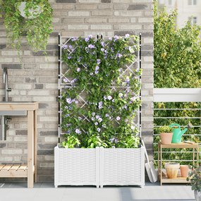 vidaXL Γλάστρα  με πλέγμα 2 τμχ Λευκό 80x40x143 εκ
