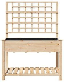 vidaXL Κήπος Γλάστρα με Πλέγμα & Ράφι 115x59x152 εκ Μασίφ Ξύλο Πεύκου