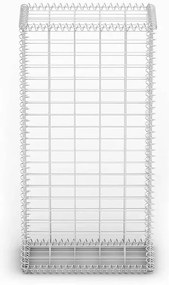 vidaXL Συρματοκιβώτιο 100 x 50 x 30 εκ. Γαλβανισμένο Σύρμα με Καπάκια