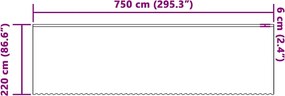 vidaXL Κουρτίνα Δαντέλας με κουρτίνες Λευκό 220 x 750 εκ Πολυεστέρας