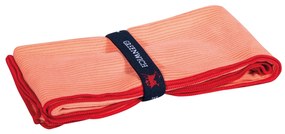 Πετσέτα Γυμναστηρίου 45Χ90 Greenwich Polo 3869 Κοραλί 5204850233594
