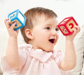 Hape Early Explorer Ξύλινα Τουβλάκια Smart Start 10Τμχ