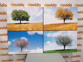 Εικόνα δέντρο στις εποχές - 120x80