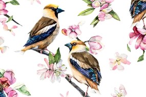 Εικόνα πουλιών σε κλαδί δέντρου - 60x40