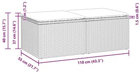 vidaXL Σαλόνι Κήπου Σετ 2 τεμ Μπεζ Συνθετικό Ρατάν με Μαξιλάρια Ακακία
