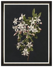 Κάδρο Delicate Bloom II FA13146 70X90 MindTheGap Vertical Wood