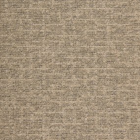 Μοκέτα (200x250) Βιοκαρπέτ Elevado 63