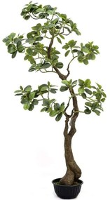Τεχνητό Δέντρο Φίκος Ginseng 3770-6 150cm Green Supergreens Πολυαιθυλένιο,Ύφασμα