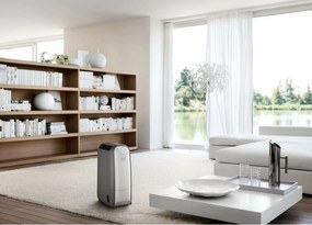Αφυγραντήρας DeLonghi DNS 80