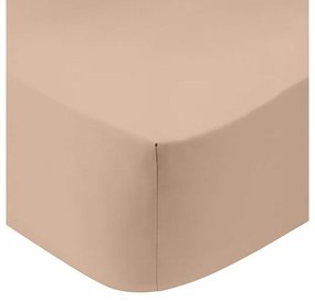 Κατωσέντονο Cotton Feelings με λάστιχο 110 Beige Διπλό (160x200+30)