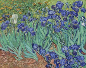Gogh, Vincent van - Εκτύπωση έργου τέχνης Irises, 1889, (40 x 30 cm)