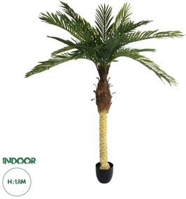 20968 GloboStar® Artificial Garden PHOENIX PALM TREE 20968 Τεχνητό Διακοσμητικό Φυτό Φοίνικας Φ150 x Υ180cm